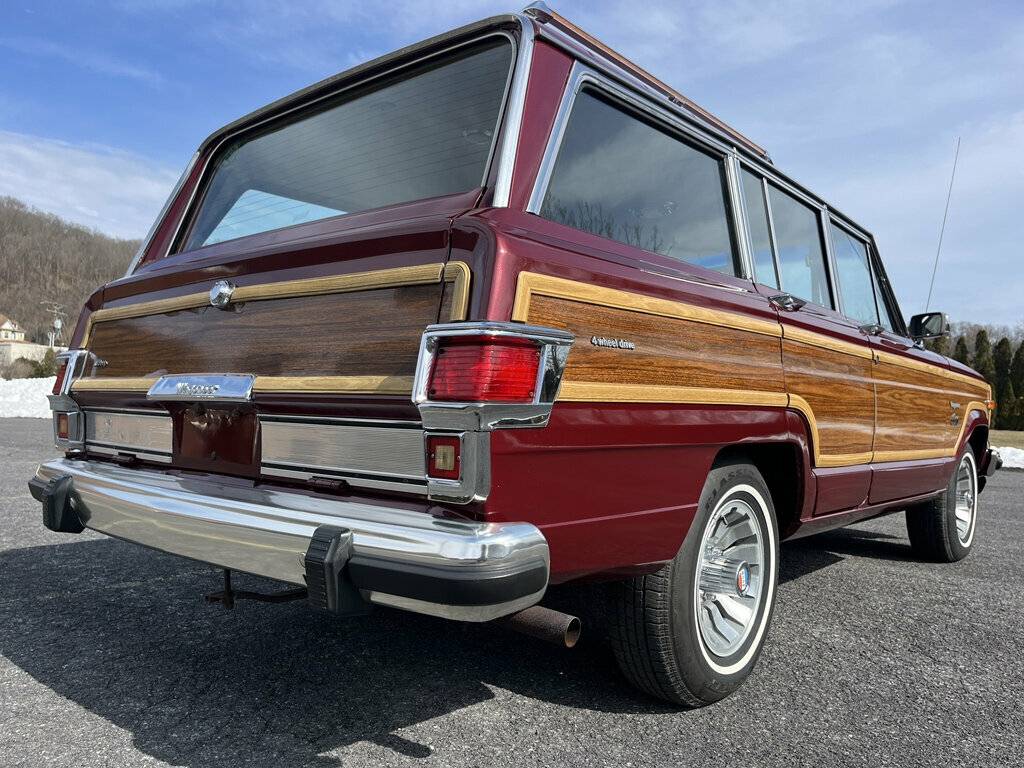 Jeep-Wagoneer-1981-69789-22