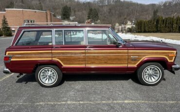 Jeep-Wagoneer-1981-69789-23