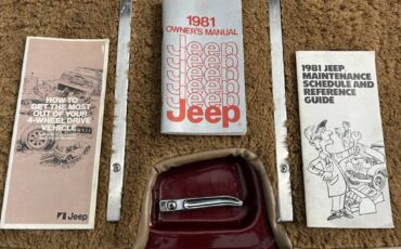 Jeep-Wagoneer-1981-69789-3