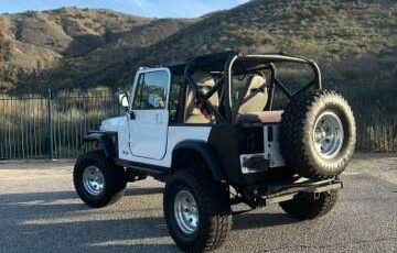 Jeep-Wrangler-1990-243010-3