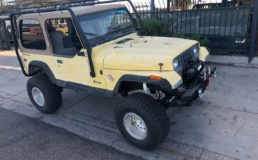 Jeep-Wrangler-1992-yellow-302556-10