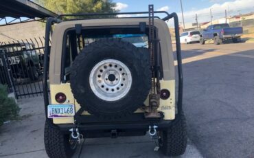 Jeep-Wrangler-1992-yellow-302556-12