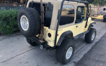 Jeep-Wrangler-1992-yellow-302556-13