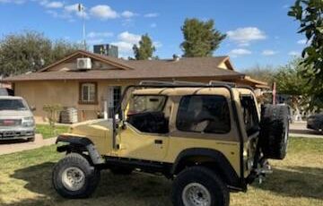 Jeep-Wrangler-1992-yellow-302556-3