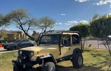 Jeep-Wrangler-1992-yellow-302556