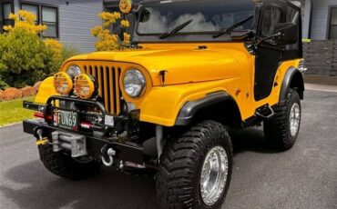 Jeep-Wrangler-cj-5-1969-yellow-4067-18