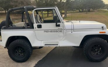 Jeep-Wrangler-renegade-1994-white-181855-1