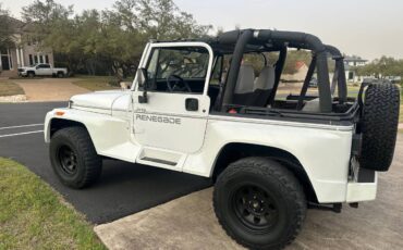 Jeep-Wrangler-renegade-1994-white-181855-2