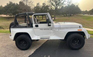 Jeep-Wrangler-renegade-1994-white-181855-4