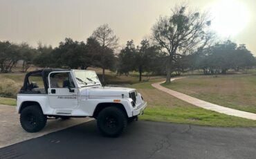 Jeep-Wrangler-renegade-1994-white-181855-5