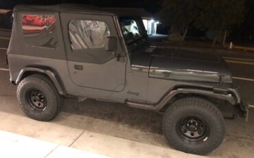 Jeep-Wrangler-sport-1991-grey-329915-1