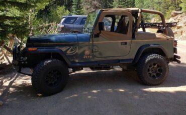 Jeep-Yj-quotsahara-editionquot-1993-green-289263-2