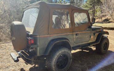 Jeep-Yj-quotsahara-editionquot-1993-green-289263-4