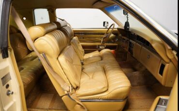 Lincoln-Town-coupe-1976-89318-8