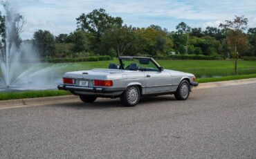 Mercedes-Benz-500-Series-1989-Silver-Blue-201578-5