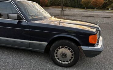 Mercedes-benz-Bens-420-sel-1986-blue-275678-20