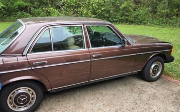 Mercedes-benz-Benz-300d-diesel-1982-brown-268760-3