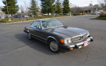 Mercedes-benz-Benz-450sl-1978-grey-238968-2