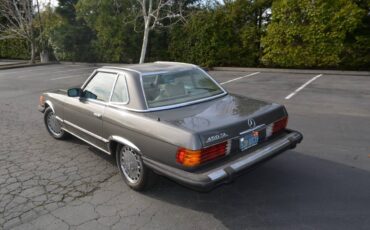 Mercedes-benz-Benz-450sl-1978-grey-238968-5