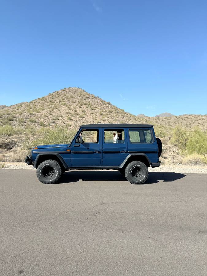 Mercedes-benz-benz-g-class-diesel-1984-blue-104607-1