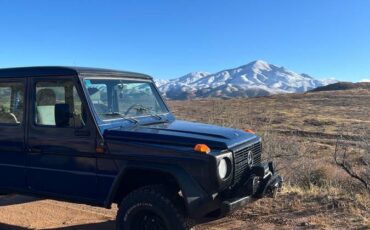 Mercedes-benz-benz-g-class-diesel-1984-blue-104607-10