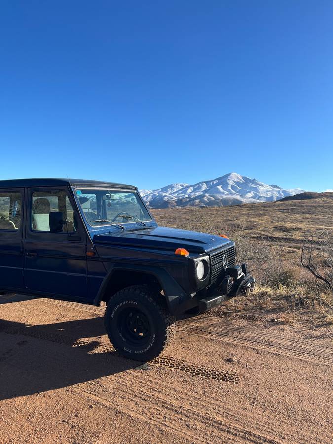 Mercedes-benz-benz-g-class-diesel-1984-blue-104607-10