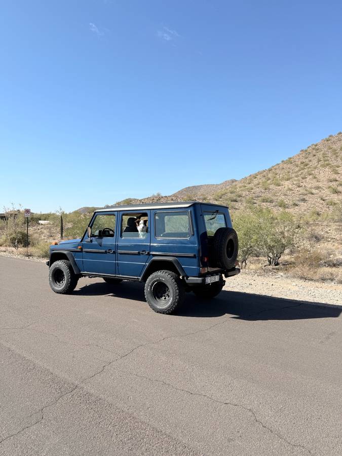 Mercedes-benz-benz-g-class-diesel-1984-blue-104607-5