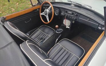 Mg-Mgb-1967-17495-5