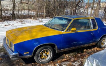 Oldsmobile-Cutlass-1979-128747