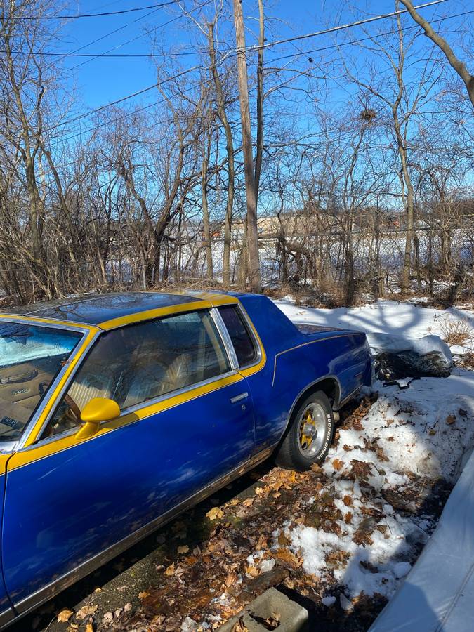 Oldsmobile-Cutlass-1979-128747-4