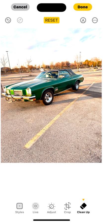 Oldsmobile-Cutlass-supreme-1973-green-43666-1