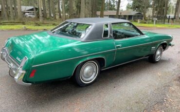 Oldsmobile-Cutlass-supreme-1973-green-43666-12