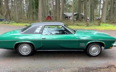 Oldsmobile-Cutlass-supreme-1973-green-43666-13