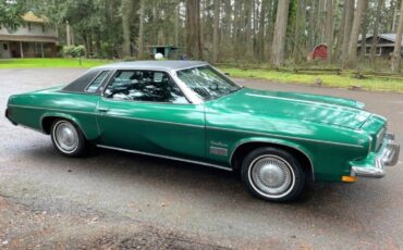 Oldsmobile-Cutlass-supreme-1973-green-43666-14