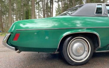 Oldsmobile-Cutlass-supreme-1973-green-43666-16