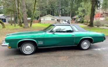 Oldsmobile-Cutlass-supreme-1973-green-43666-17