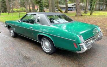 Oldsmobile-Cutlass-supreme-1973-green-43666-18