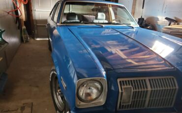 Oldsmobile-Omega-1975-blue-154497-11