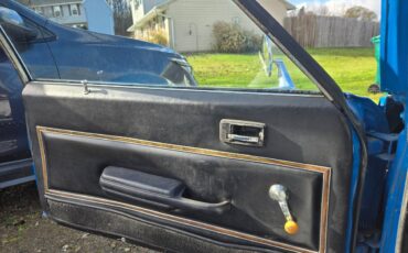 Oldsmobile-Omega-1975-blue-154497-2