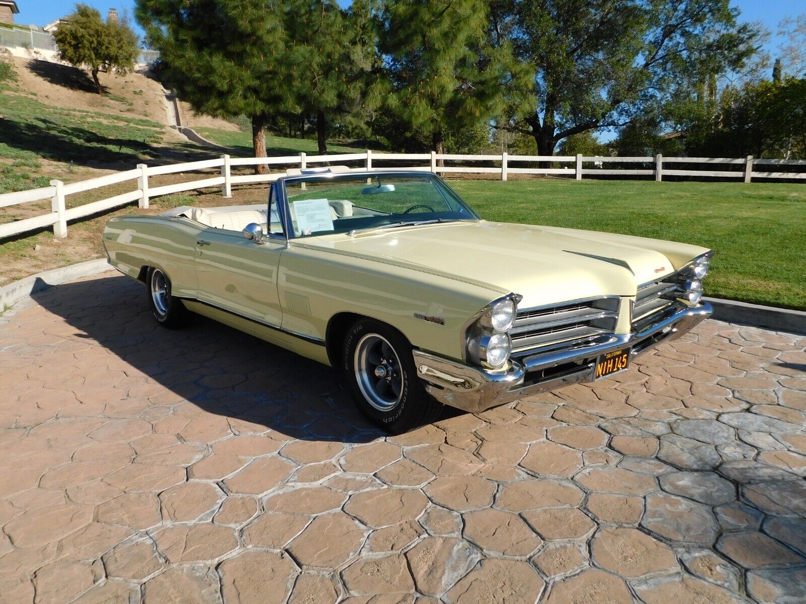 Pontiac-Catalina-Cabriolet-1965-Yellow-White-69202-12