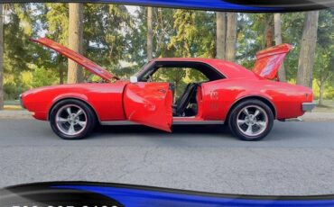 Pontiac-Firebird-new-paint-in-1968-red-43180-14