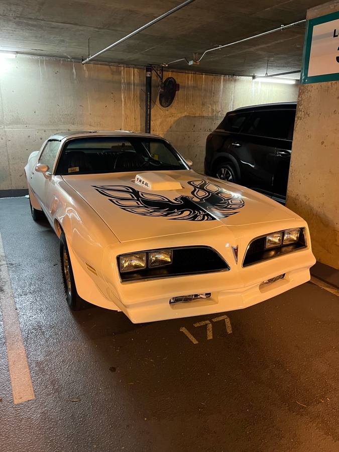 Pontiac-Firebird-trans-am-1978-white-102998-3