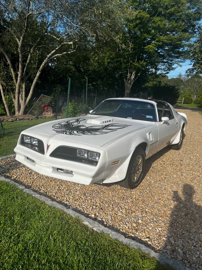 Pontiac-Firebird-trans-am-1978-white-102998-5