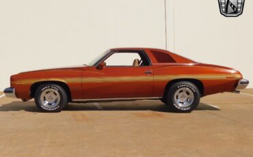 Pontiac-Le-Mans-1975-Brown-Brown-99519-3