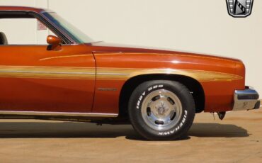 Pontiac-Le-Mans-1975-Brown-Brown-99519-8