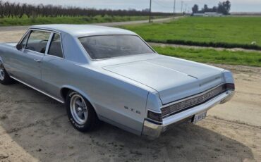 Pontiac-Lemans-1965-grey-321868-3