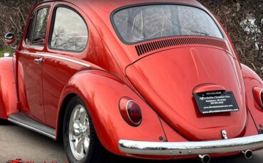 Volkswagen-Beetle-1965-10052-11