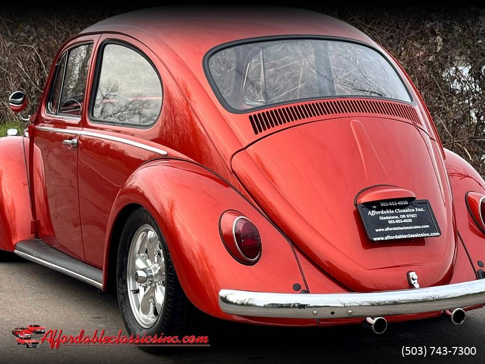 Volkswagen-Beetle-1965-10052-11