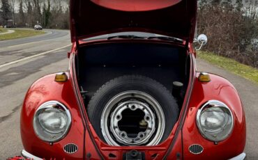 Volkswagen-Beetle-1965-10052-15