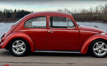 Volkswagen-Beetle-1965-10052-16